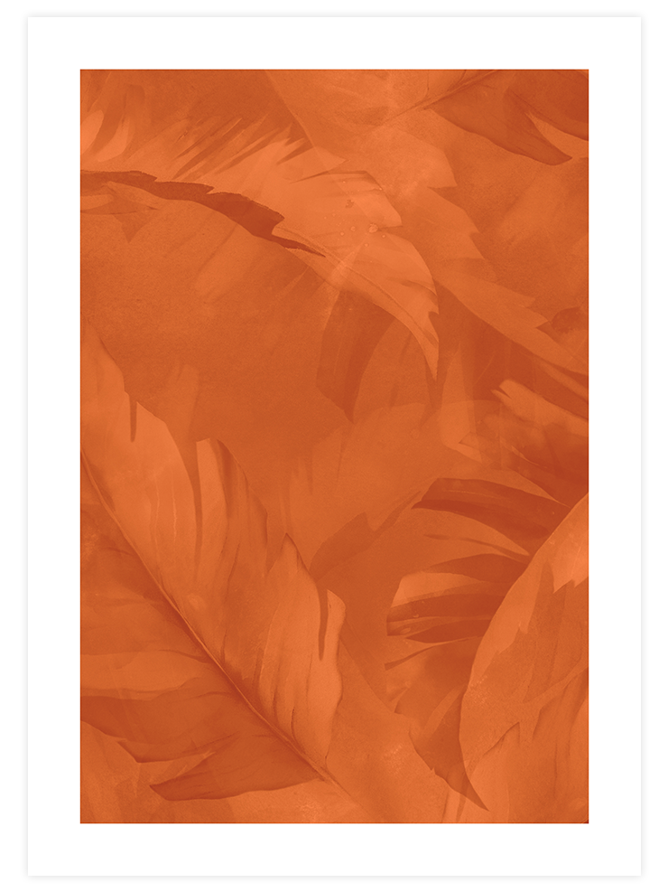 Aequalis N1 - Art Print Ürün ana görseli