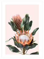 Egzotik Çiçek - Art Print