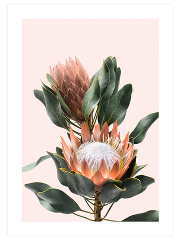 Egzotik Çiçek - Art Print