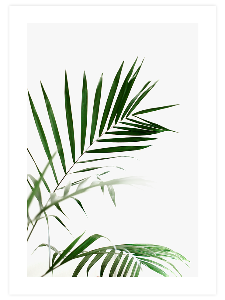 Elegance N2 - Art Print Ürün ana görseli