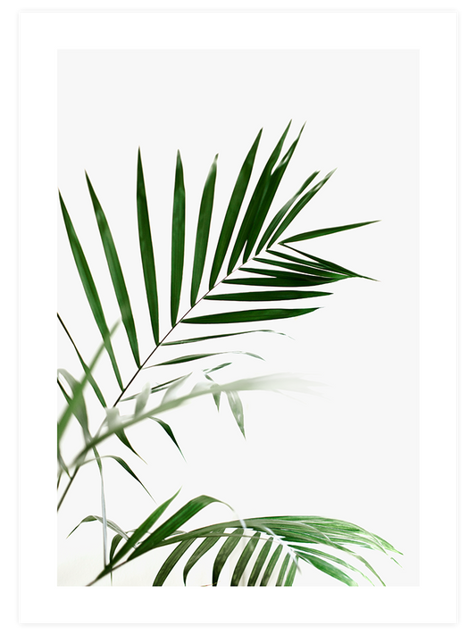 Elegance N2 - Fine Art Poster