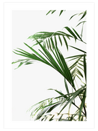 Elegance N1 - Art Print