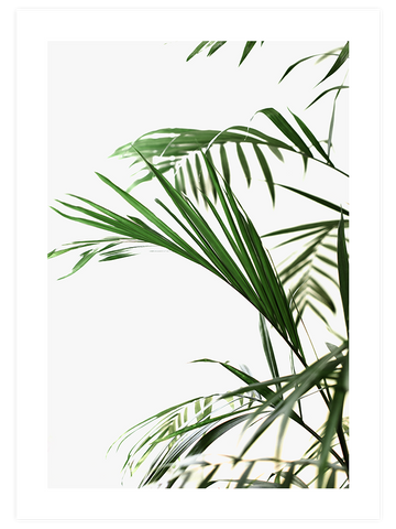 Elegance N1 - Art Print