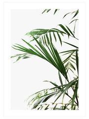 Elegance N1 - Fine Art Poster