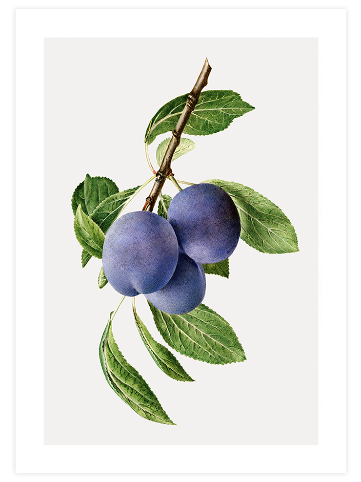 Erik - Art Print Ürün ana görseli