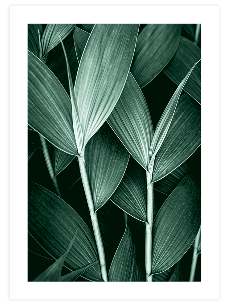 Estetizm N3 - Art Print Fotoğraflar Poster