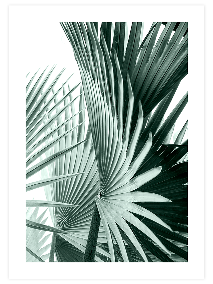 Estetizm - Art Print Fotoğraflar Poster