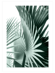 Estetizm - Art Print