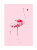 Flamingo N2 - Art Print