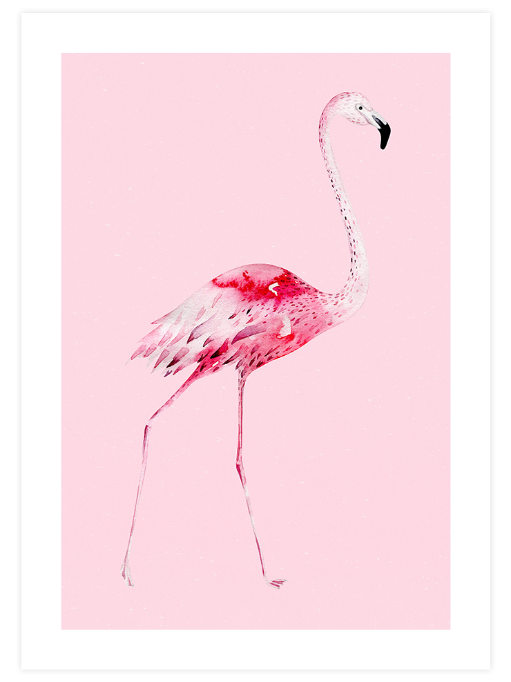 Flamingo N2 - Art Print