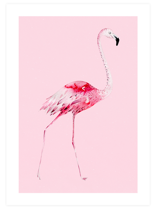 Flamingo N2 Poster - Giclée Baskı