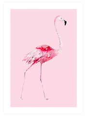 Flamingo N2 - Fine Art Poster