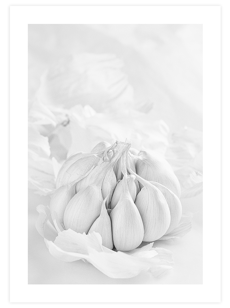 Garlic - Art Print Ürün ana görseli