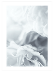 Glamour - Fine Art Poster