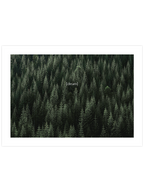 Green Dream - Art Print