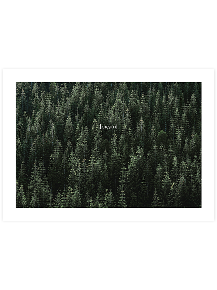 Green Dream - Art Print Fotoğraflar Poster