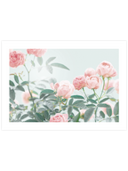 Gül Bahçesi - Art Print