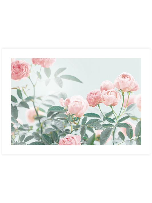 Gül Bahçesi - Art Print