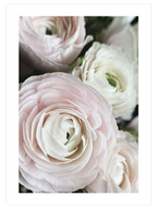 Gül Demeti N2 - Art Print