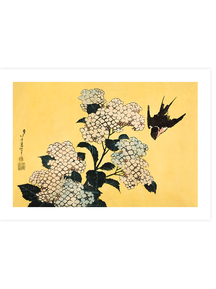 Hokusai Hydrangea And Swallow N2 - Art Print Ürün ana görseli