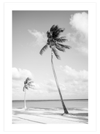 İki Palmiye - Art Print