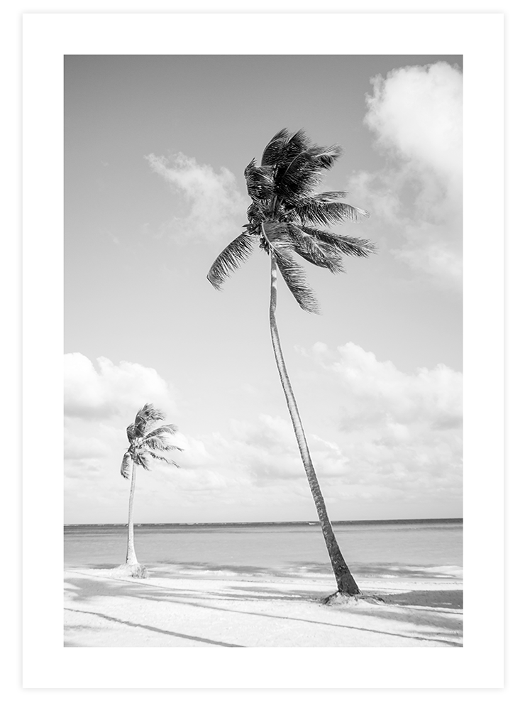 İki Palmiye - Art Print
