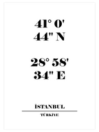 İstanbul Koordinatları - Art Print