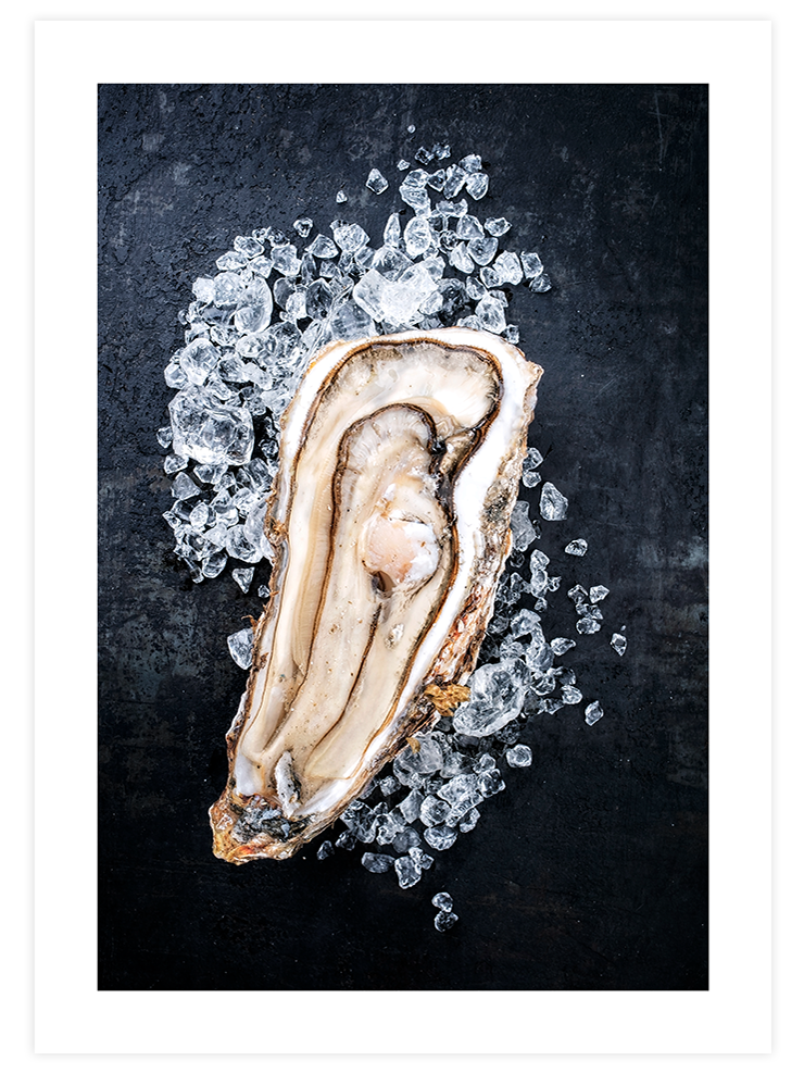 İstiridye - Art Print