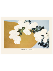 Kamisaka Sekka Flowers Of A Hundred Worlds Poster - Giclée Baskı