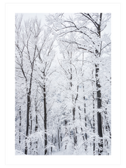 Karli Orman - Fine Art Poster