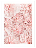 Kasımpatı - Art Print