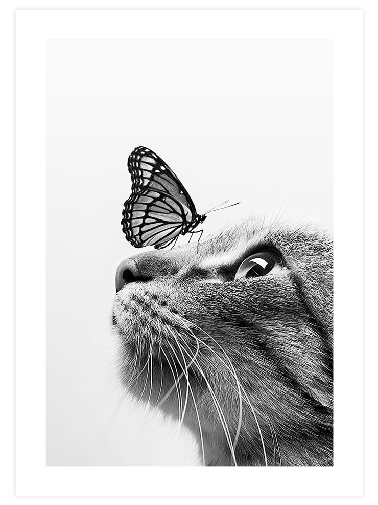 Kedi - Art Print Fotoğraflar Poster