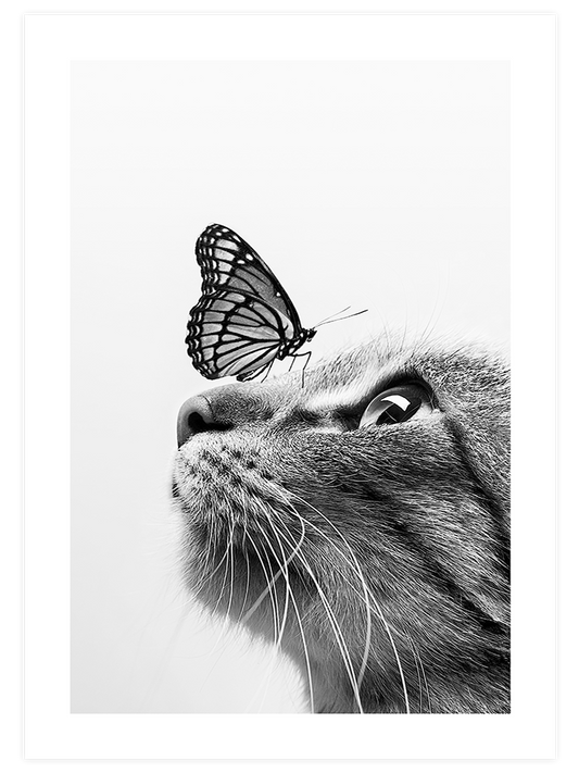 Kedi Poster - Giclée Baskı