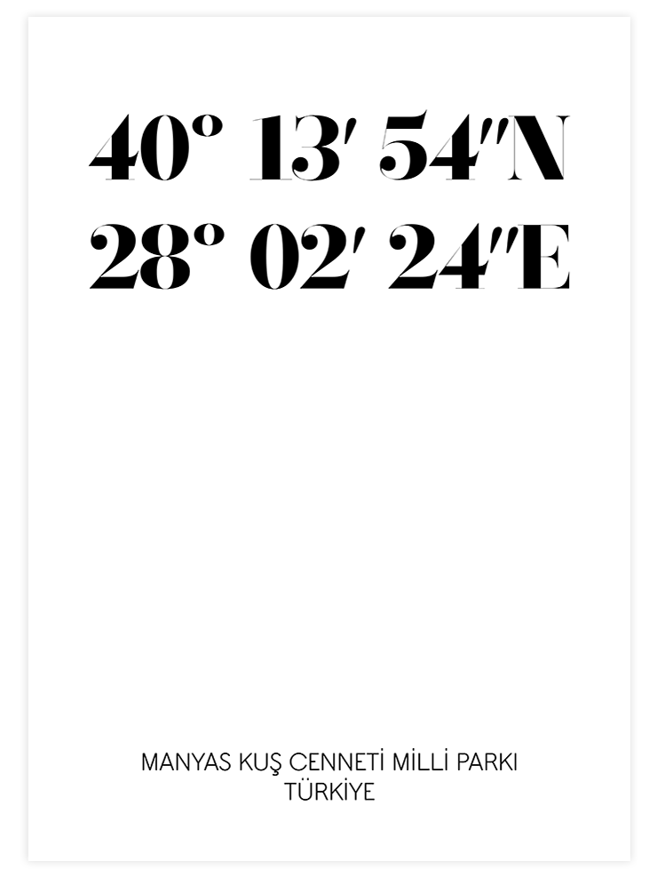 Koordinatlar Kişiye Özel - Art Print Ürün ana görseli