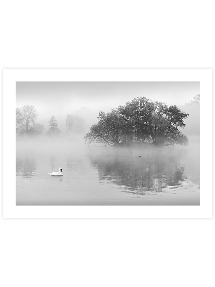 Kuğu Gölü - Art Print Ürün ana görseli