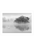 Kuğu Gölü - Art Print