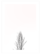 Kumrular - Art Print