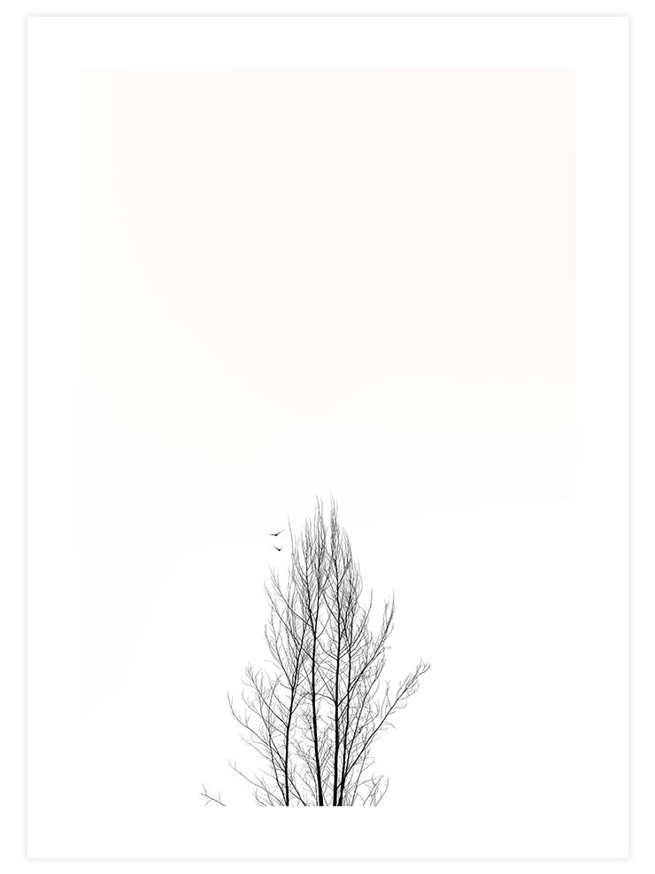 Kumrular - Art Print