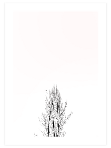 Kumrular - Art Print