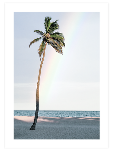 La Palmera - Art Print