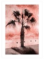 Le Palmier - Art Print