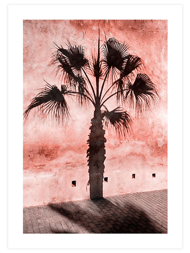 Le Palmier - Art Print