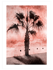 Le Palmier - Fine Art Poster