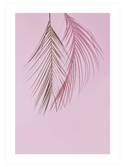 L'élégance Minimaliste - Fine Art Poster