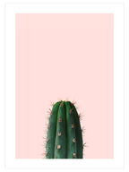 Le Cactus - Art Print