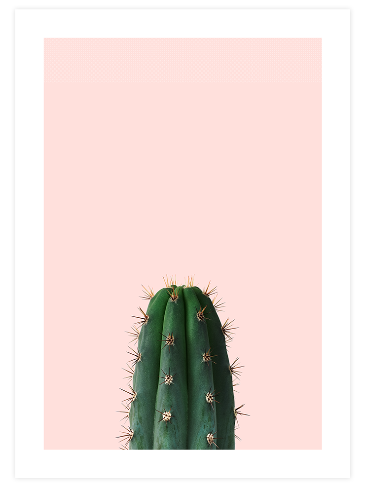 Le Cactus - Art Print
