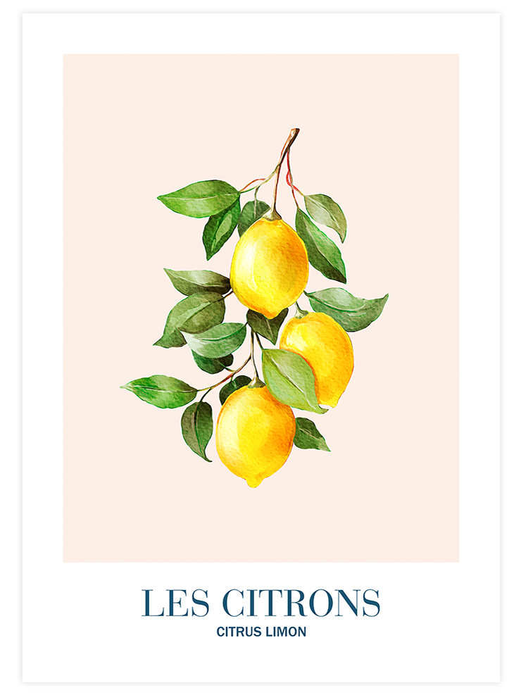 Les Citrons - Art Print Ürün ana görseli