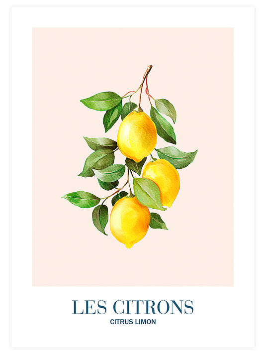 Les Citrons - Art Print