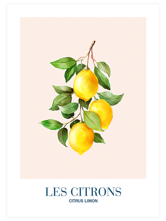 Les Citrons Poster - Giclée Baskı