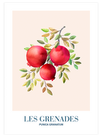 Les Grenades - Art Print